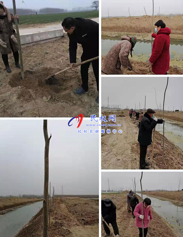 王莊寨鎮(zhèn)“四強(qiáng)化”做好春季植樹造林國(guó)土綠化工作