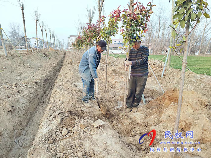 白云寺鎮(zhèn):植樹添新綠，不負(fù)好春光