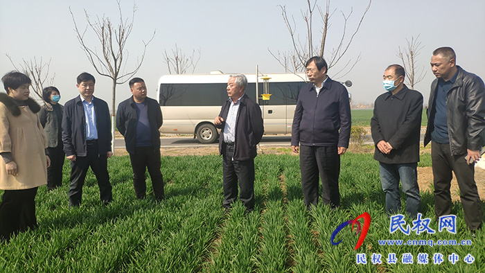 省農(nóng)業(yè)農(nóng)村廳黨組成員、副廳長王俊忠到民調(diào)研春季麥田管理工作