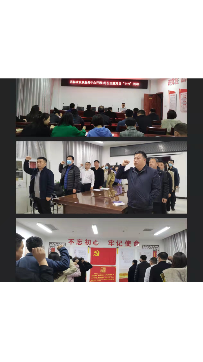 縣林業(yè)發(fā)展服務(wù)中心開展3月份主題黨日1＋N活動