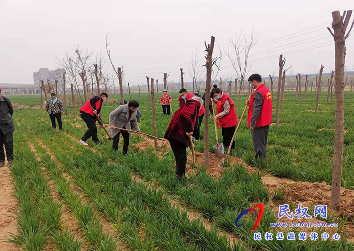 春暖三月學(xué)雷鋒，植樹護(hù)綠我先行