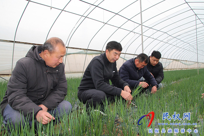 花園鄉(xiāng)：加強疫情防控 確保蔬菜供應