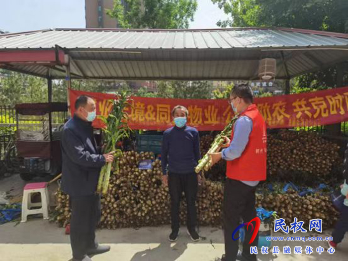 建業(yè)天境攜手建業(yè)新筑愛心傳遞萬余斤新鮮蔬菜送進(jìn)尋常百姓家