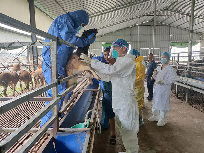 市動物疫控中心到民檢查指導春季動物疫病防控工作