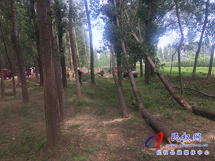 北關鎮(zhèn)：對“非農(nóng)化”“非糧化”耕地進行平整