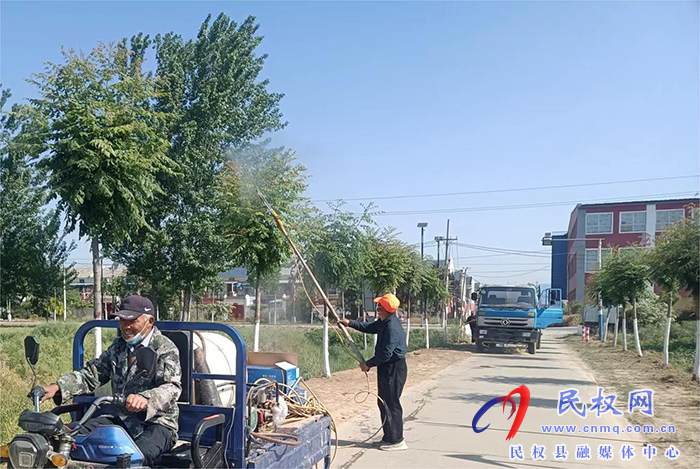 龍?zhí)伶?zhèn)：多舉措加強(qiáng)樹木管護(hù)