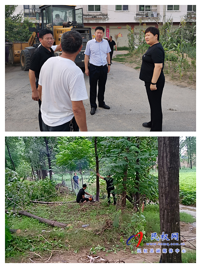 王莊寨鎮(zhèn)：強(qiáng)力推動(dòng)違法違規(guī)占用耕地植樹(shù)造林整治工作