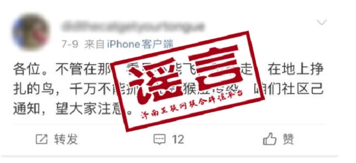 死去的小鳥“傳播猴痘病毒”？假的