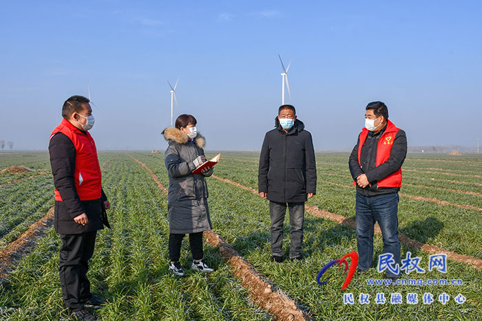 民權(quán)縣人和鎮(zhèn)：加強(qiáng)冬季麥田管理，確保小麥安全越冬