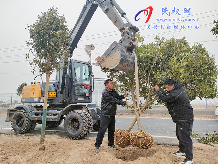 民權縣花園鄉(xiāng)：植樹造林讓村莊綠起來