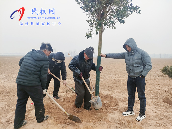 民權縣花園鄉(xiāng)：植樹造林讓村莊綠起來