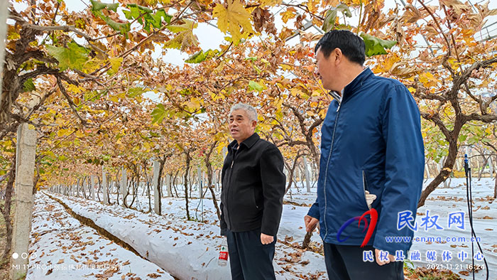 小菌菇 大能量——林下種植菌菇，助推鄉(xiāng)村振興