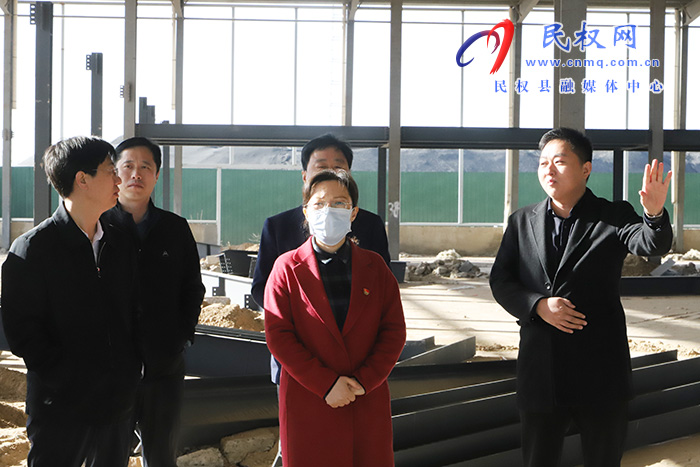 縣委副書記、縣長王靜嫻調(diào)研招商、城建項目建設(shè)工作