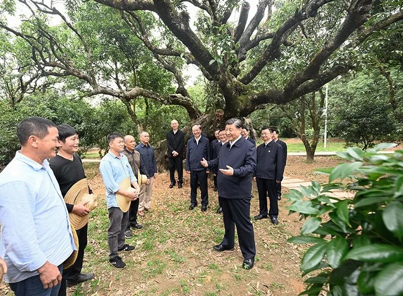 習(xí)近平怎么選調(diào)研對(duì)象？｜跟總書記學(xué)調(diào)研④