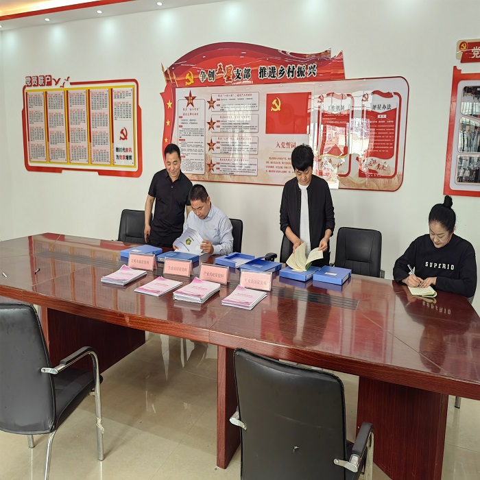 民權(quán)縣殘聯(lián)調(diào)研村殘協(xié)基層組織建設