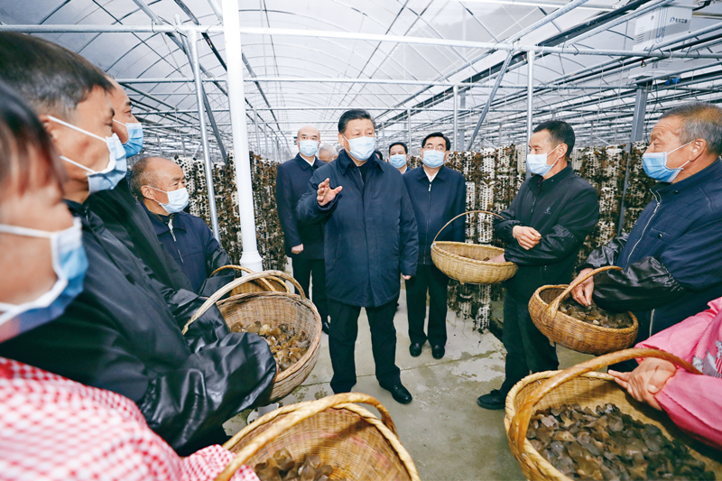 習近平總書記談糧食安全這個“國之大者”