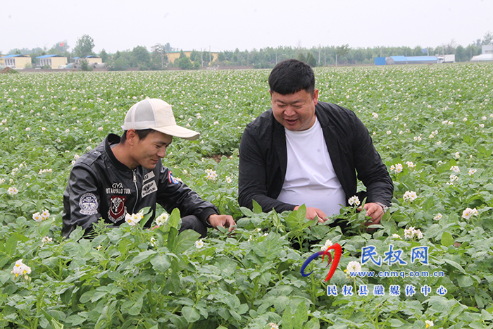 民權(quán)花園鄉(xiāng)：發(fā)揮統(tǒng)戰(zhàn)力量 促進(jìn)產(chǎn)業(yè)興旺