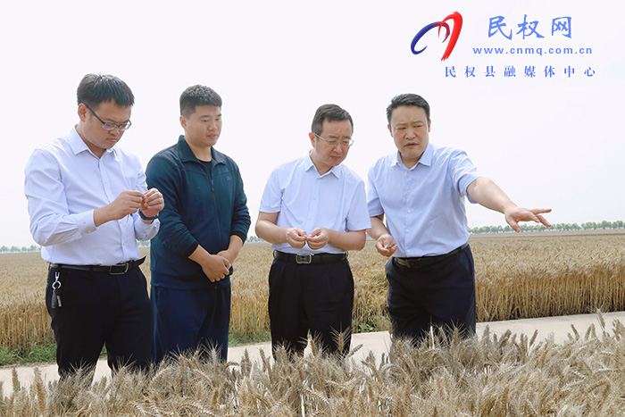 市委組織部副部長崔振華到民權(quán)調(diào)研“三夏”生產(chǎn)情況