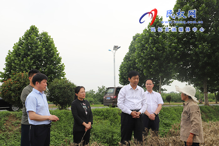 市委常委、常務(wù)副市長(zhǎng)薛鳳林到民調(diào)研“三夏”生產(chǎn)工作及高考考務(wù)工作