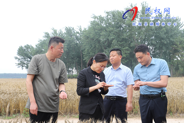 縣委書記、縣長(zhǎng)王靜嫻調(diào)研指導(dǎo)“三夏”生產(chǎn)工作