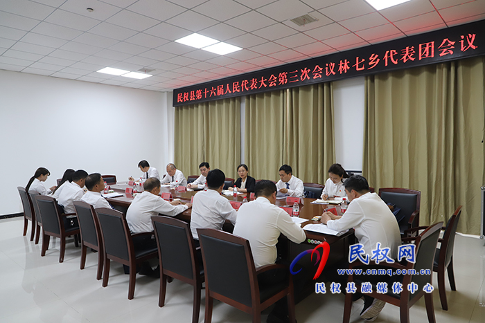 縣委書記、縣長(zhǎng)王靜嫻參加林七鄉(xiāng)代表團(tuán)審議