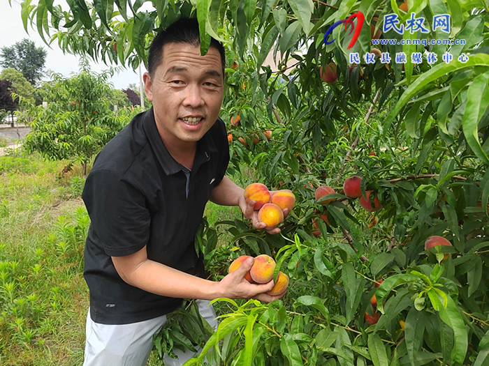民權縣北關鎮(zhèn)：特色種植點亮“產(chǎn)業(yè)興旺星”