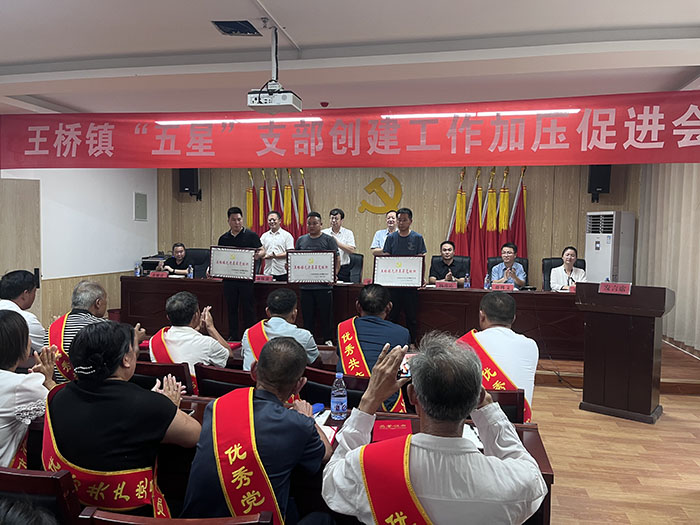 王橋鎮(zhèn)召開“五星”支部創(chuàng)建工作加壓促進(jìn)會