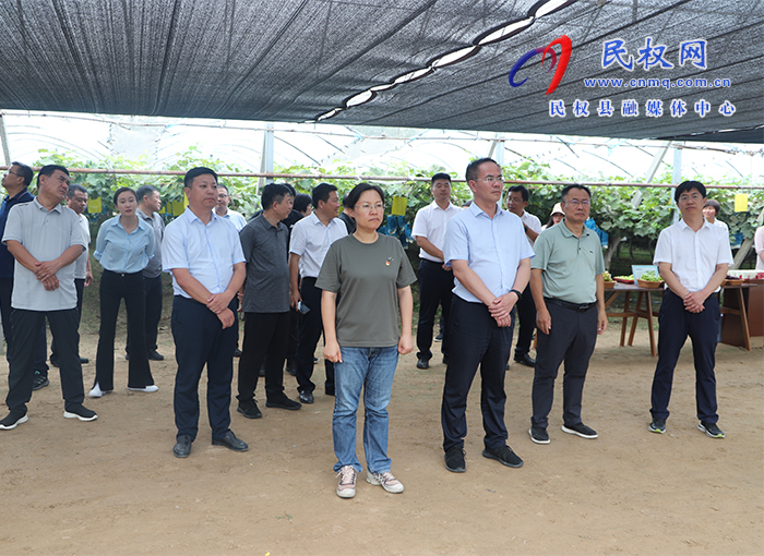 我縣開展2023年度鄉(xiāng)鎮(zhèn)（街道）上半年重點工作觀摩活動