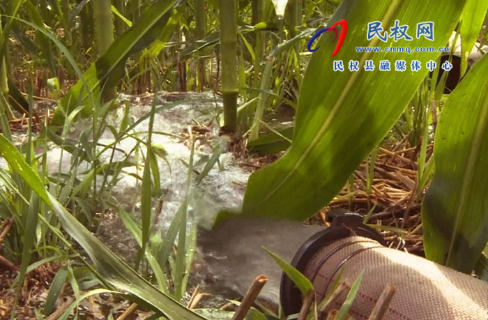 孫六鎮(zhèn)：堅(jiān)持“四個(gè)到位”加強(qiáng)秋田管理