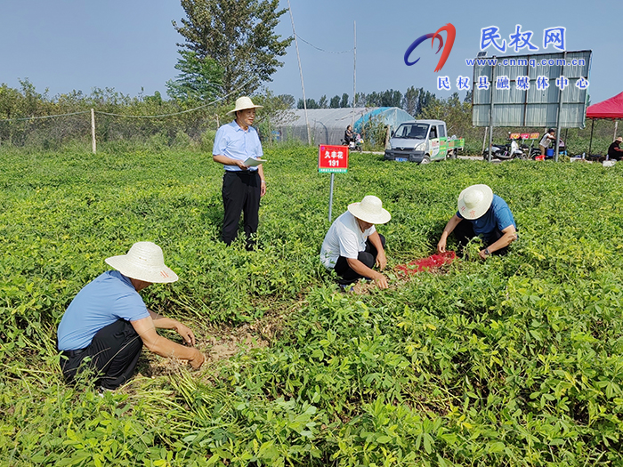 市農(nóng)業(yè)專(zhuān)家到我縣開(kāi)展花生實(shí)地測(cè)產(chǎn)助力農(nóng)民增產(chǎn)增收