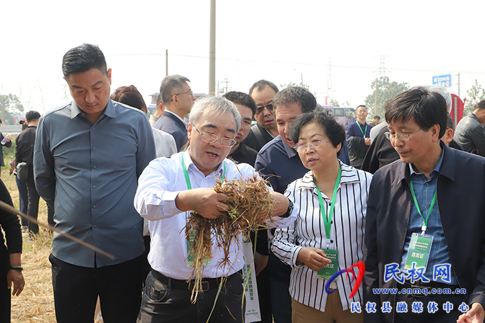 全國首屆油莎豆科研成果轉(zhuǎn)化暨產(chǎn)業(yè)發(fā)展會議召開