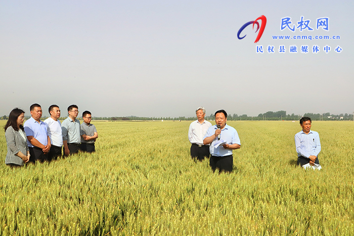 全省優(yōu)質(zhì)小麥單產(chǎn)提升暨規(guī)?；唵紊a(chǎn)現(xiàn)場觀摩會在民召開