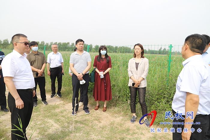 省財(cái)政廳稅政處副處長(zhǎng)梁蕊一行到民調(diào)研濕地治理修復(fù)工作