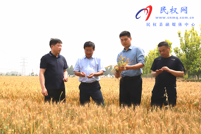 縣委副書記李君實地調(diào)研“三夏”生產(chǎn)工作