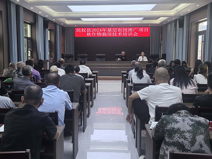 王橋鎮(zhèn)：加強秋作物田間管理，點亮“產(chǎn)業(yè)興旺星”