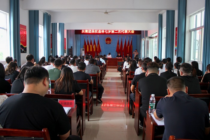 民權(quán)縣林七鄉(xiāng)圓滿(mǎn)完成團(tuán)組織換屆選舉工作