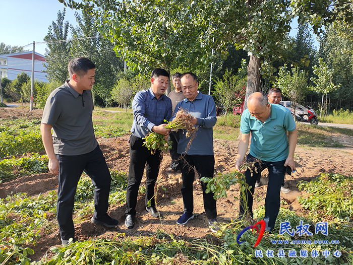 縣政協(xié)主席周明河到綠洲街道督導(dǎo)“三秋”生產(chǎn)、農(nóng)田排澇等工作