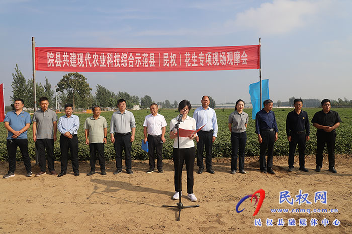 院縣共建現(xiàn)代農(nóng)業(yè)科技綜合示范縣（民權(quán)）花生專項現(xiàn)場觀摩會舉行
