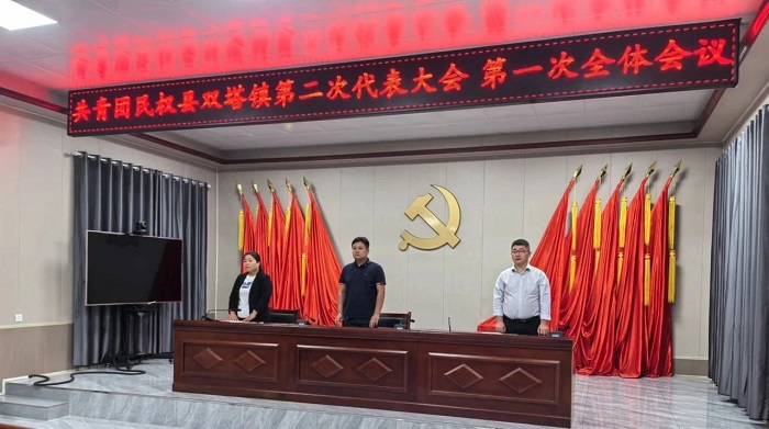 民權(quán)縣雙塔鎮(zhèn)圓滿完成團組織換屆選舉工作