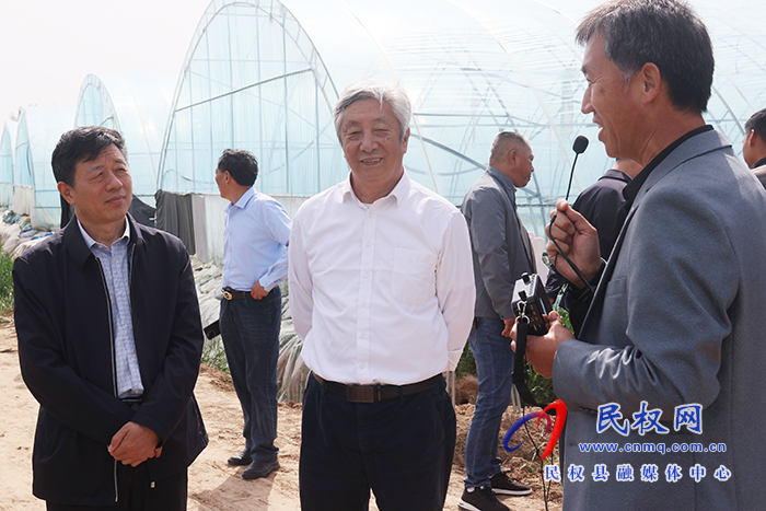 全國人大常委、中國工程院院士許為鋼到我縣院縣共建優(yōu)質(zhì)小麥產(chǎn)業(yè)化基地考察