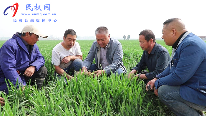 縣農(nóng)業(yè)農(nóng)村局全力應(yīng)對高溫干旱 護(hù)航小麥豐產(chǎn)豐收