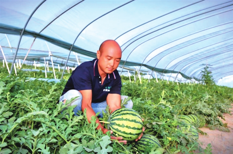 民權(quán)縣：“甜蜜經(jīng)濟(jì)”甜了百姓富了鄉(xiāng)村