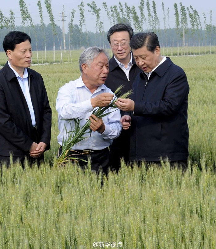 學(xué)習(xí)進(jìn)行時(shí)丨是貢獻(xiàn)，也是奉獻(xiàn)——習(xí)近平總書記和河南的故事