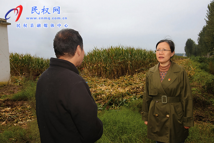 縣委書記王靜嫻調(diào)研“三秋”工作開展情況